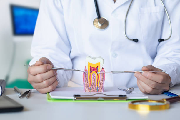 Best Emergency Tooth Extraction in New Union, TN